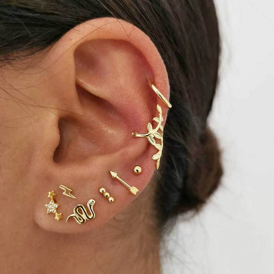 Gold Plated Leaf Earring Set Snake Earring Clip